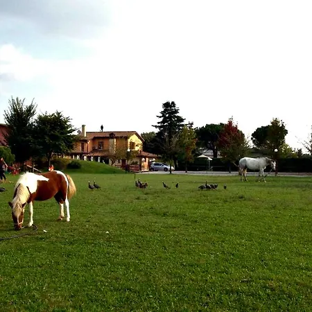 Farm stay Agriturismo Al Capitellon